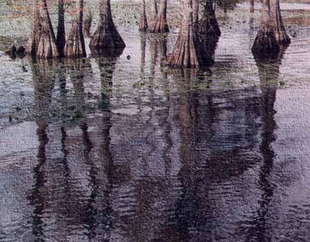 Caddo Lake